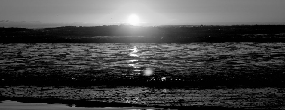 授权码代购的cc网页端